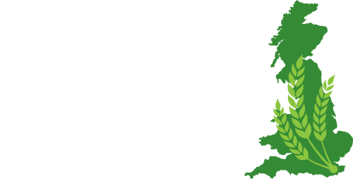 ACS Group - Canterbury and Sittingbourne, Kent