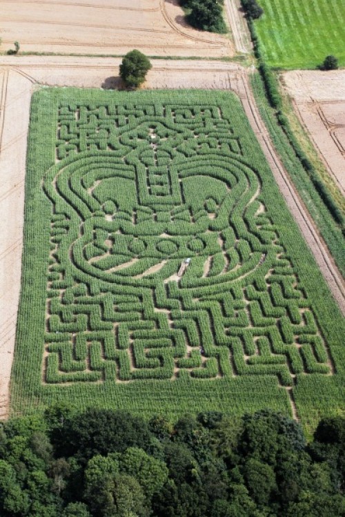 NewsImages/penshurstMaze.jpg